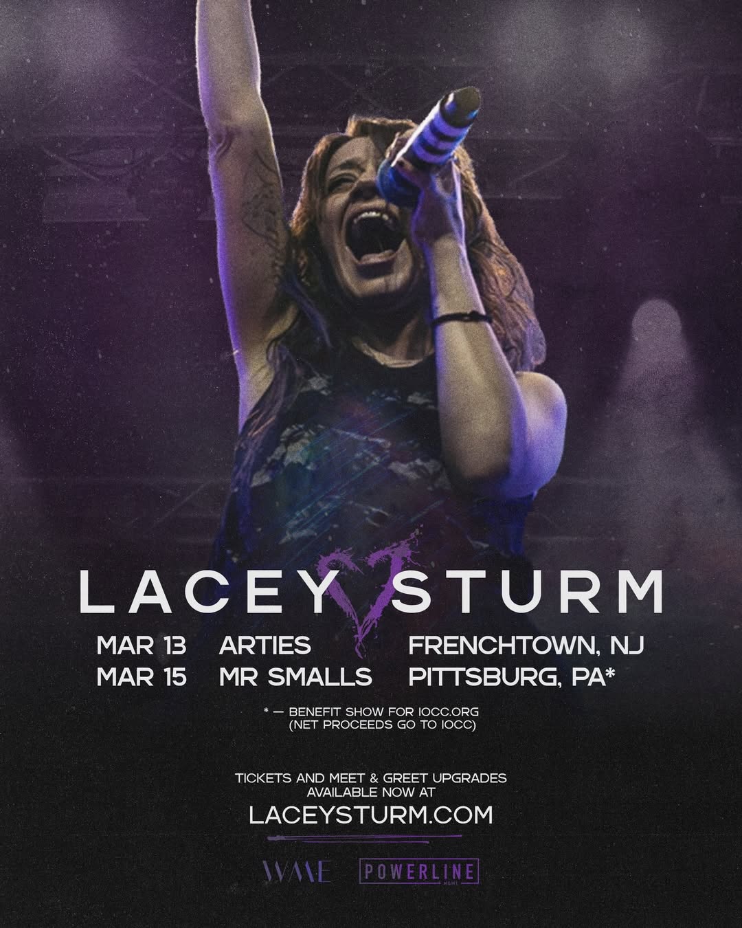 Lacey Sturm 20th Anniversary Tour Poster 2026